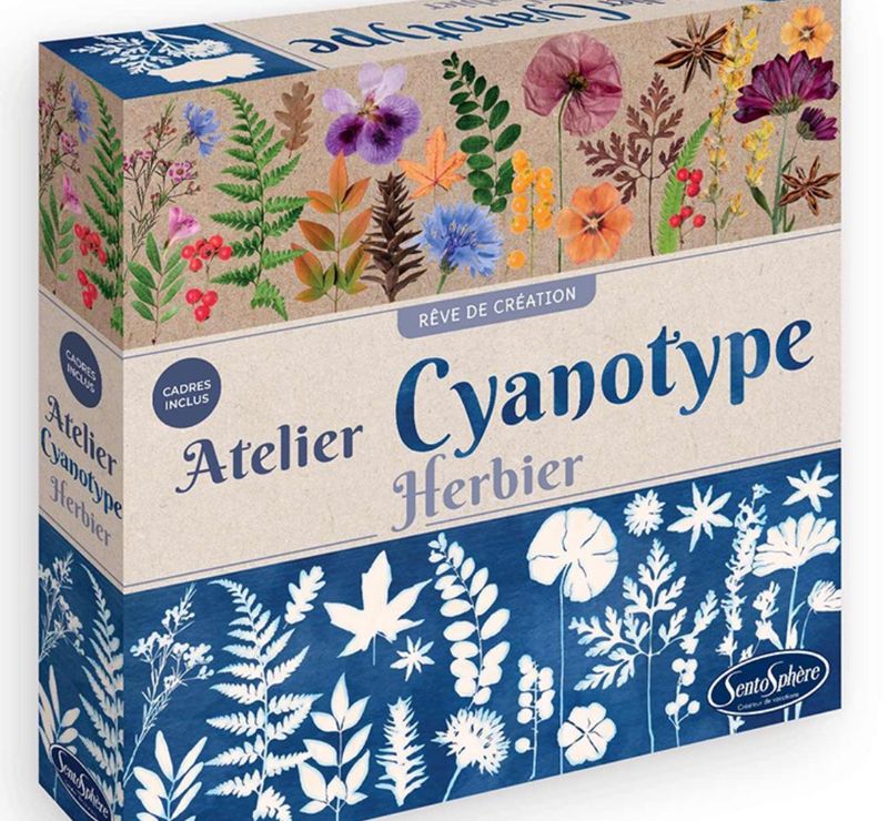 Atelier Cyanotype herbier - Sentosphère