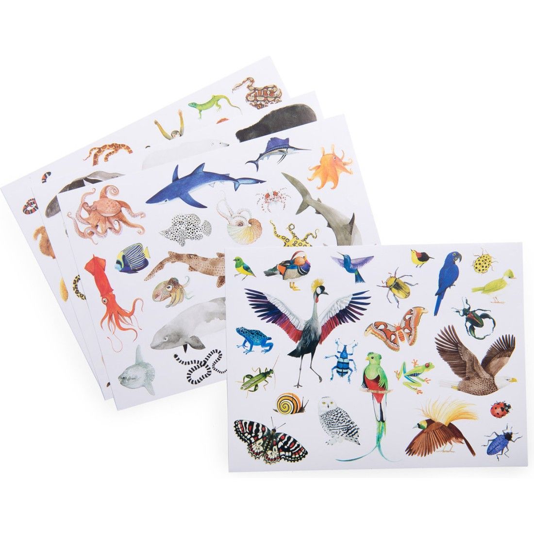 Pochette de stickers "Tout autour du monde" - Moulin Roty