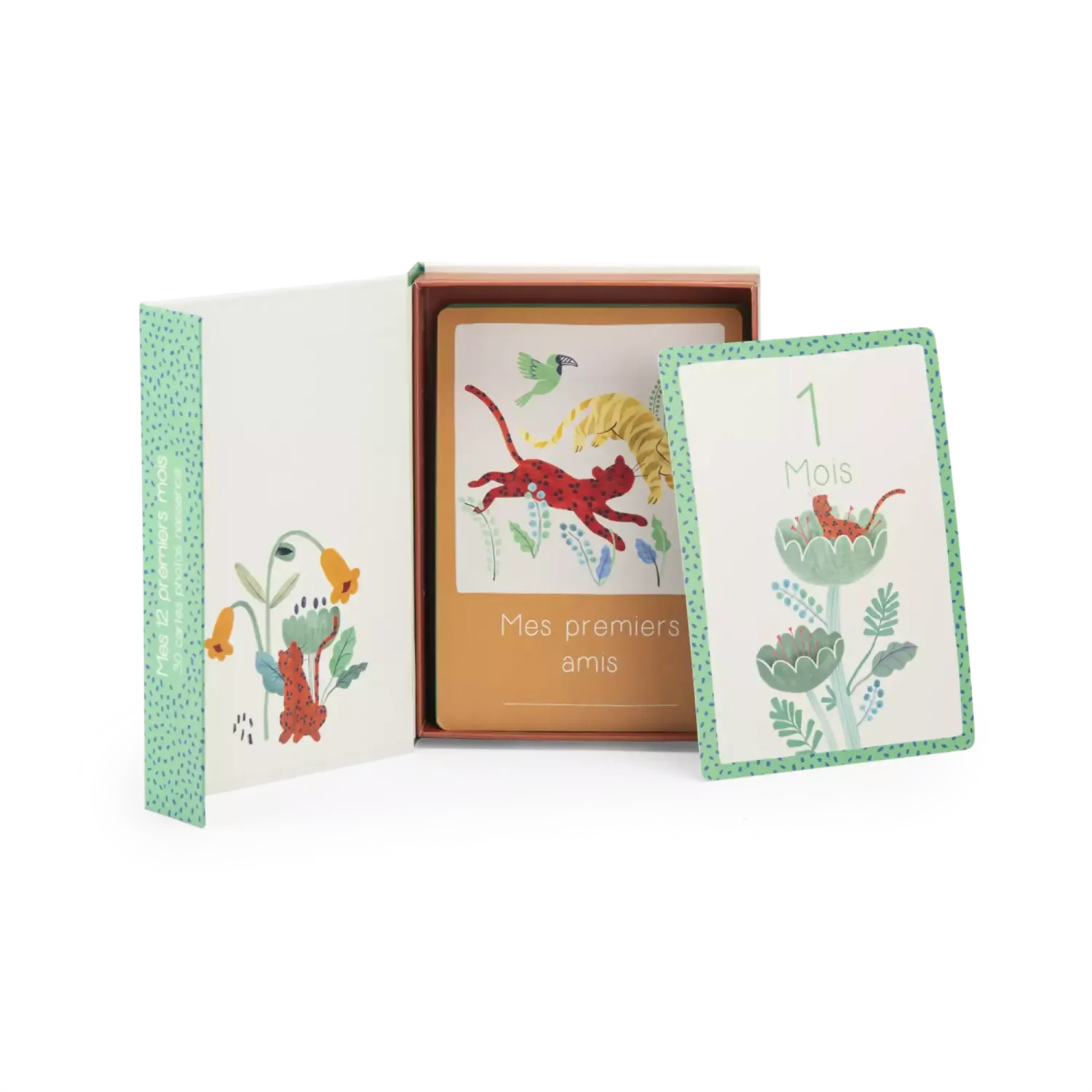 Cartes des 12 premiers mois "La forêt de Mawa" - Moulin roty