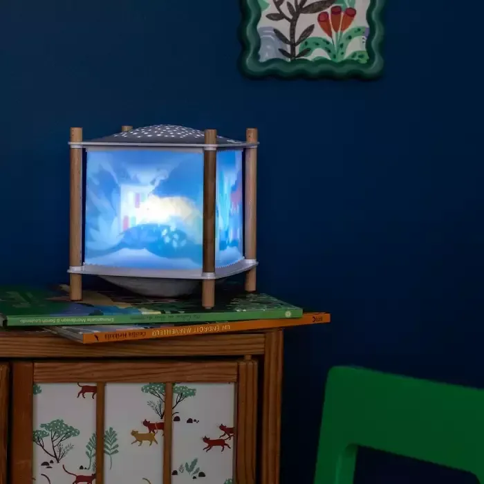 Lanterne magique . Révolution 2.0 Lanterne magique . Révolution 2.0 "La forêt de Mawa" - Moulin roty