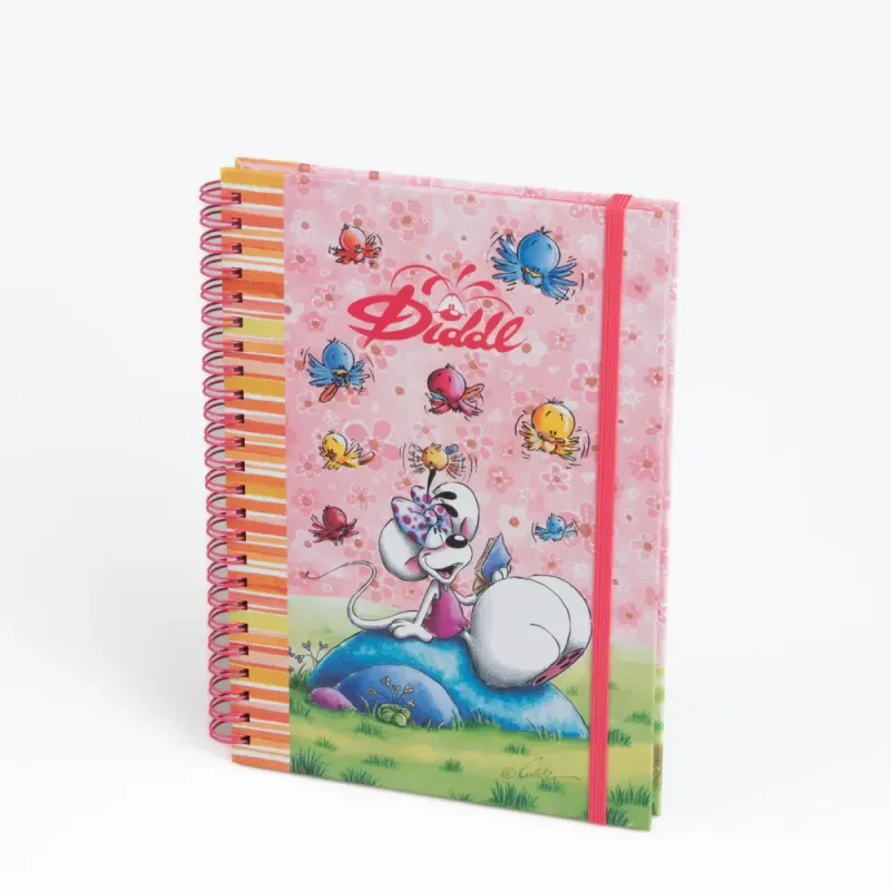 Cahier A5 à spirale - Diddl (2 modèles au choix)