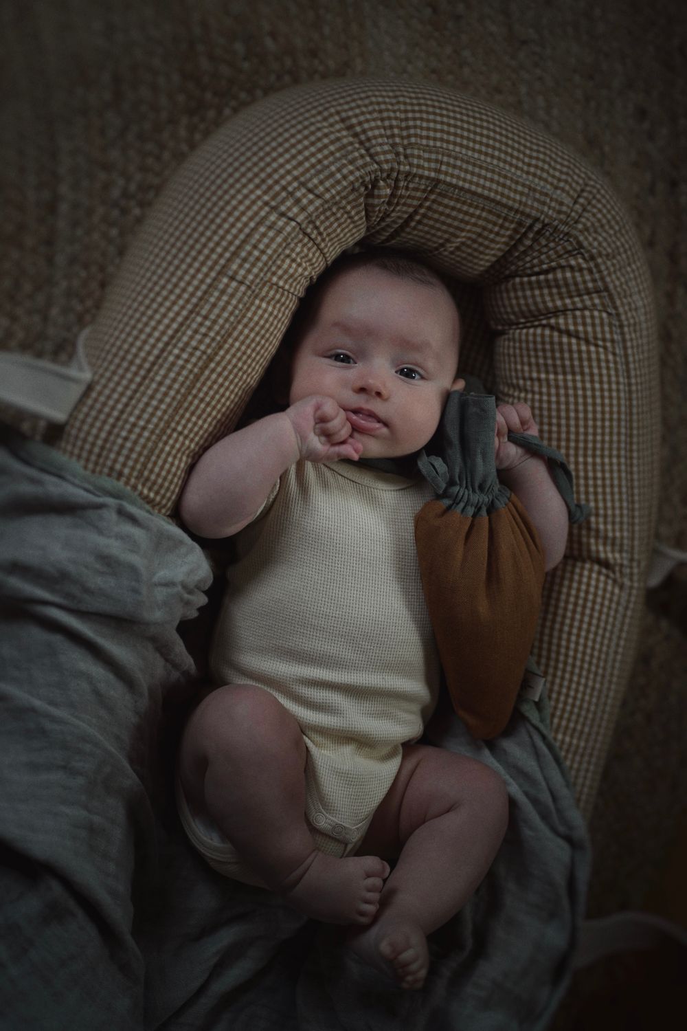 CHERRY PIT PILLOW / TOY ' CARROT '