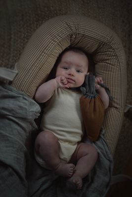 CHERRY PIT PILLOW / TOY ' CARROT '