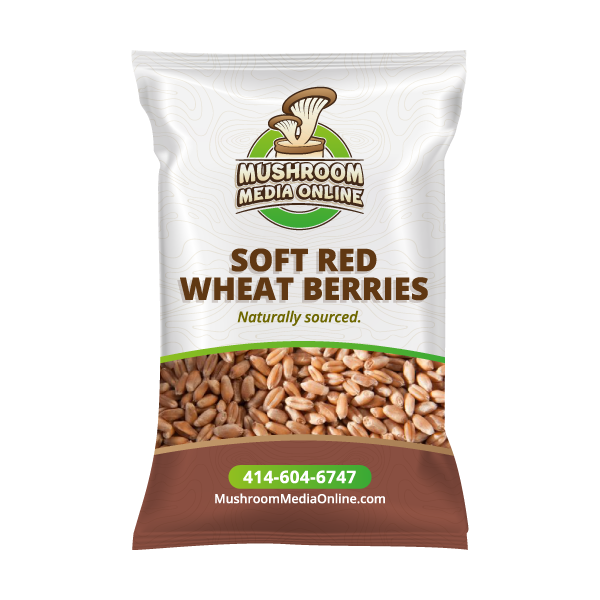 Soft Red Wheat Berries