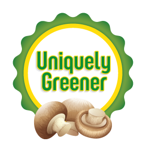 Uniquely Greener Chestnut Mushroom Grow Kit