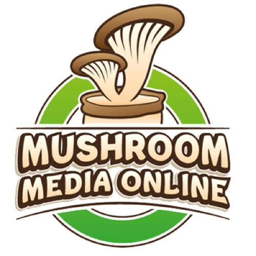 MushroomMediaOnline