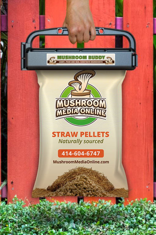 40# Wheat Straw Pellets