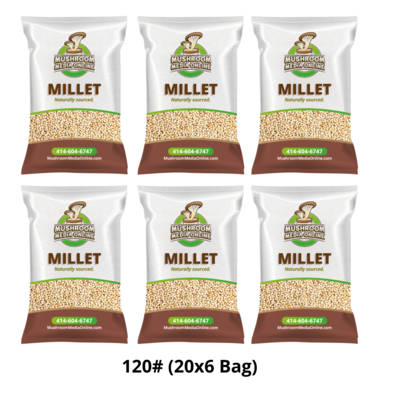 120# Proso Millet Grains