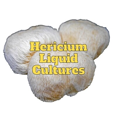 MCM Hericium Liquid Cultures