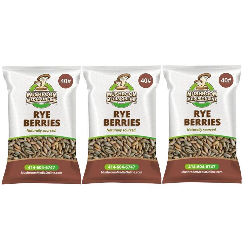 120# Whole Rye Berries