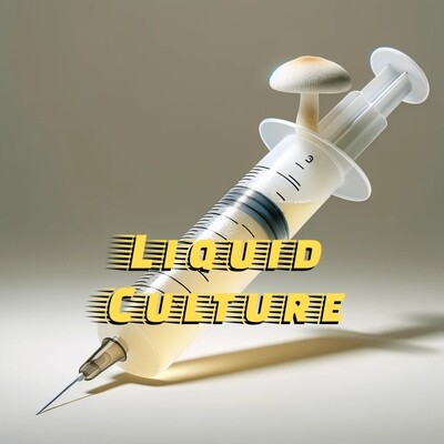 Liquid Culture & Grain Spawn