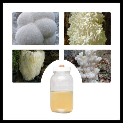 MMO Mushrooms Hericium Liquid Cultures
