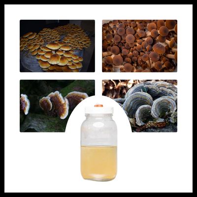 MMO Mushrooms Medicinal/Other Liquid Cultures