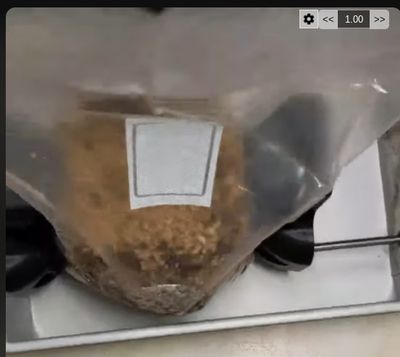 Thor Bag Cracker