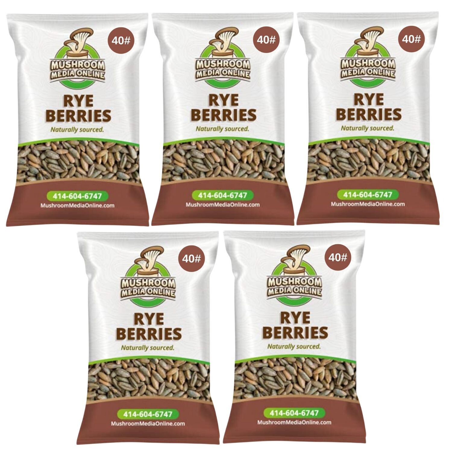 200# (5 x 40# Bags) Whole Rye Berries 200# (5 x 40# Bags) Whole Rye Berries
