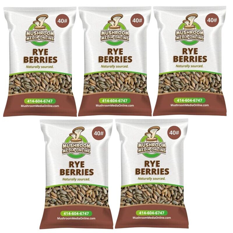 200# (5 x 40# Bags) Whole Rye Berries