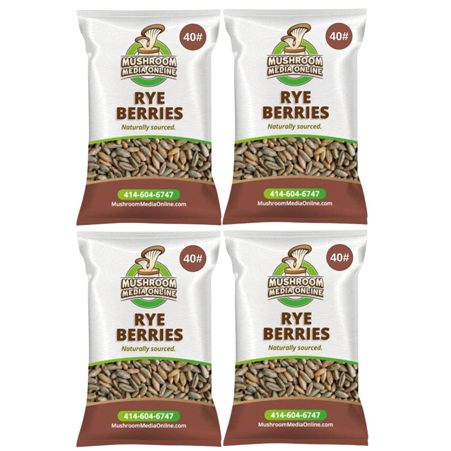 160# (4 x 40# Bags) Whole Rye Berries 160# (4 x 40# Bags) Whole Rye Berries