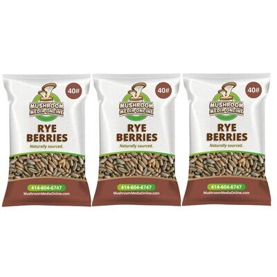 120# (3 x 40# Bags) Whole Rye Berries