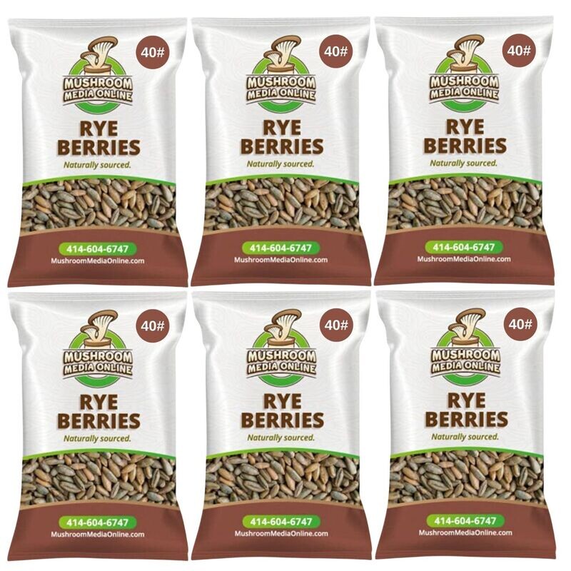 240# (6 x 40# Bags) Whole Rye Berries 240# (6 x 40# Bags) Whole Rye Berries