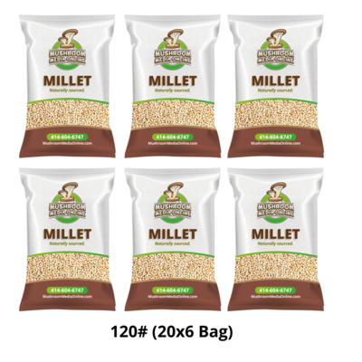 120# (3 x 40# Bags) Proso Millet Grains