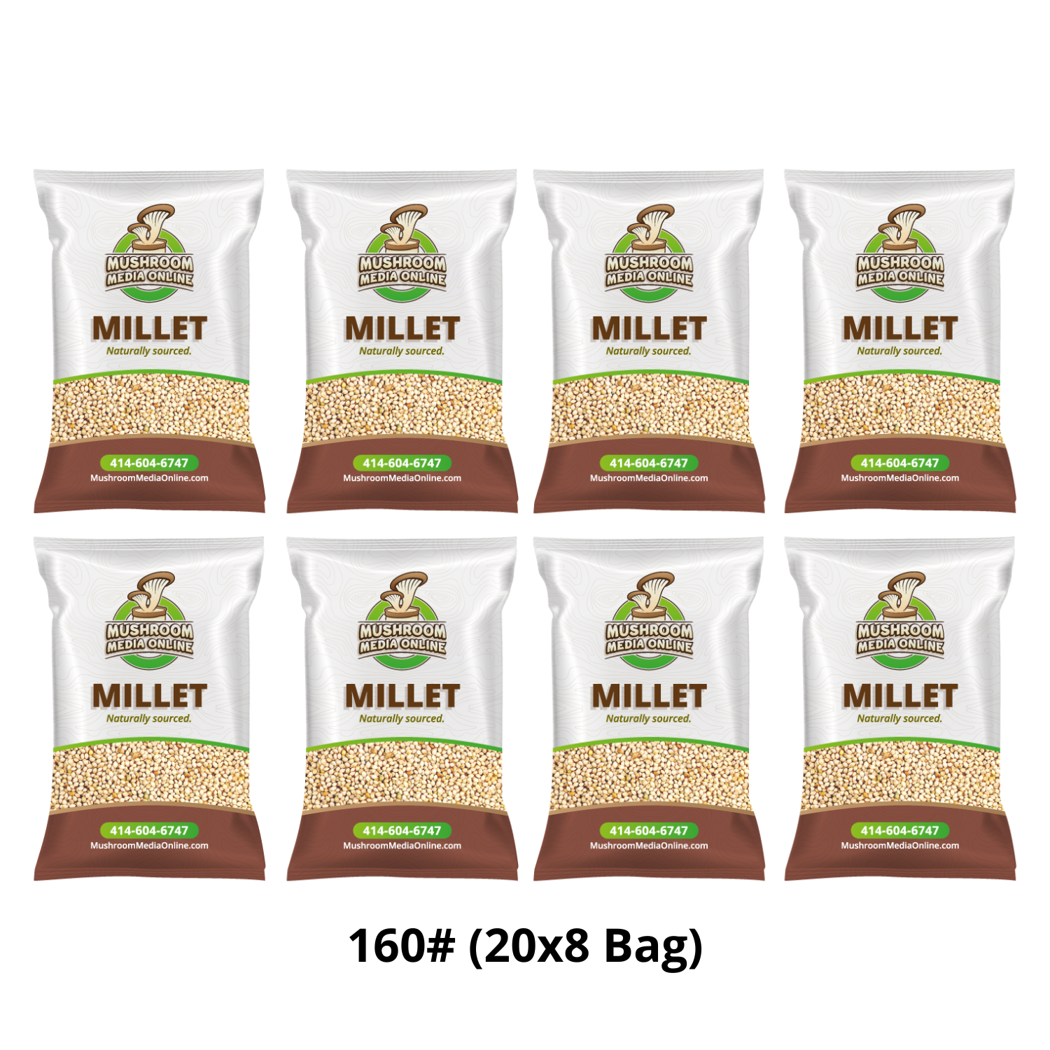 160# (4 x 40# Bags) Proso Millet Grains 160# (4 x 40# Bags) Proso Millet Grains