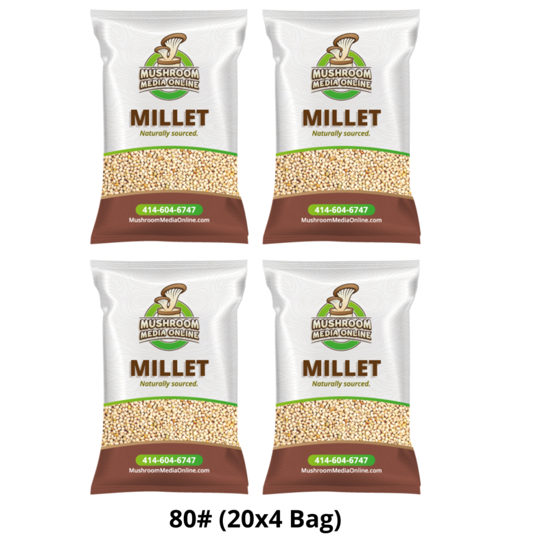 80# (2 x 40# Bags) Proso Millet Grains 80# (2 x 40# Bags) Proso Millet Grains