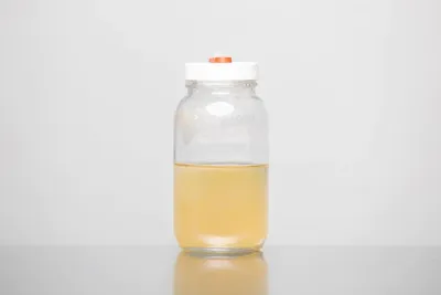 MMO Lion's Mane 2 Mycelium Liquid Culture - 10ML MMO Lion's Mane 2 Mycelium Liquid Culture - 10ML