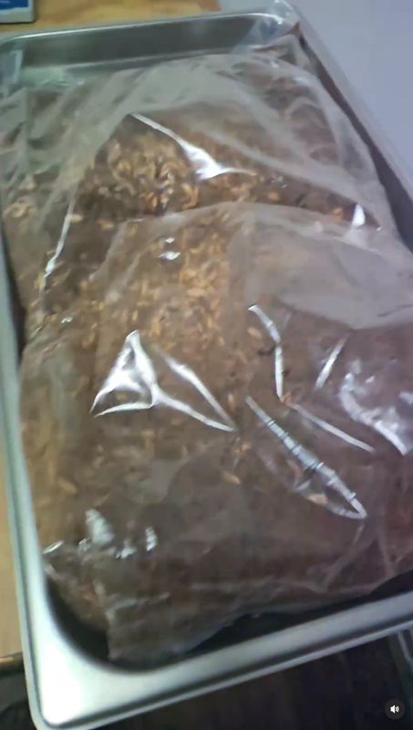 Thor Electric Bag Shaker - $650 with free FedEx to lower 48 Thor Electric Bag Shaker - $650 with free FedEx to lower 48