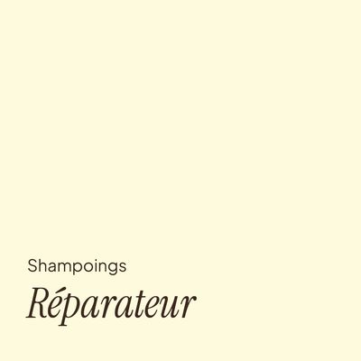 Réparateur