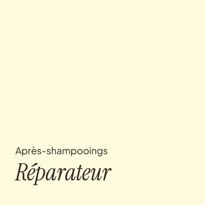 Réparateur