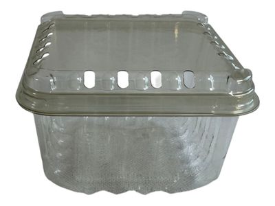 Bandeja Estuche Para Frutillas 1/4Kg