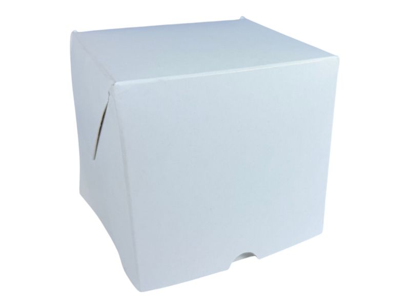 Caja Blanca - 10x10x10cm