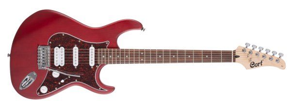 G Series electric guitar