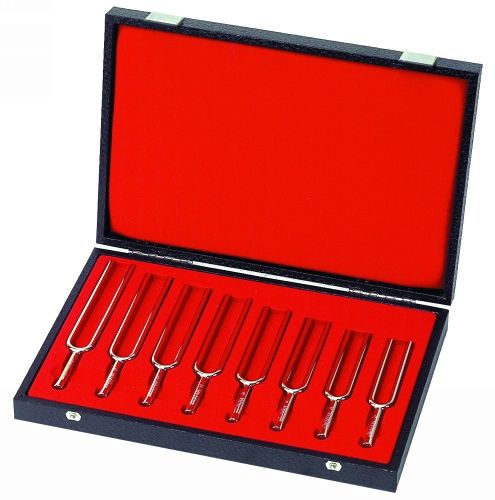 Diatonic Tuning Fork | 343852