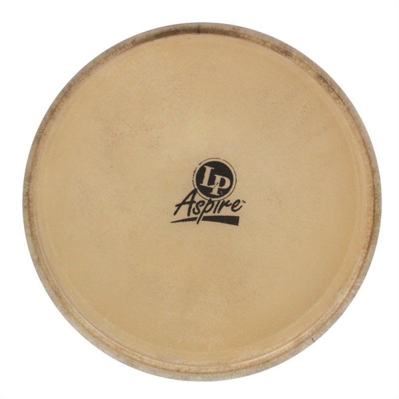 Small City Series Bongo Head | 435810