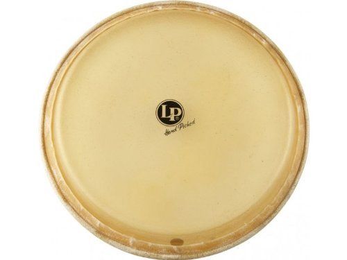 Conga Head | 461592