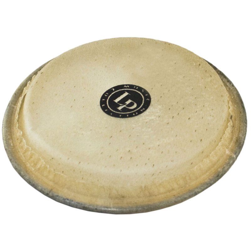 4.5&quot; Mini Bongo HEAD | 461544