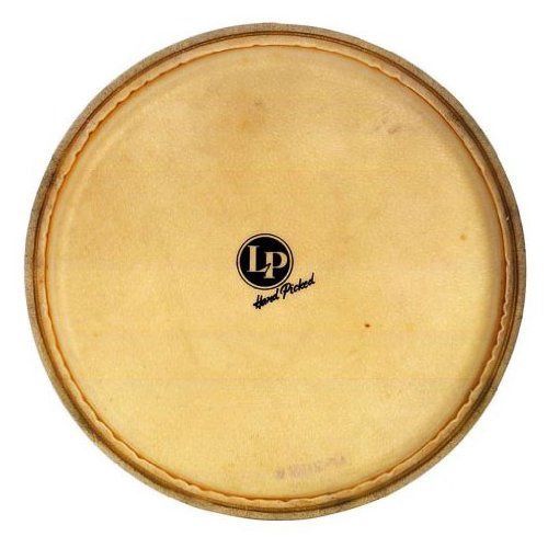 Djembe Head | 503871