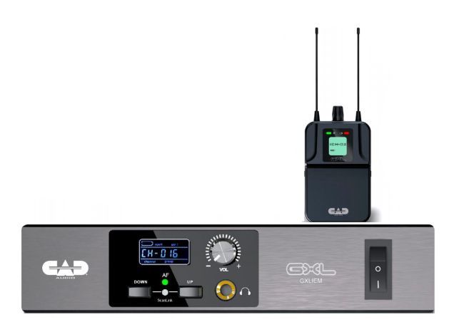Wireless In-Ear Monitor System | 534599