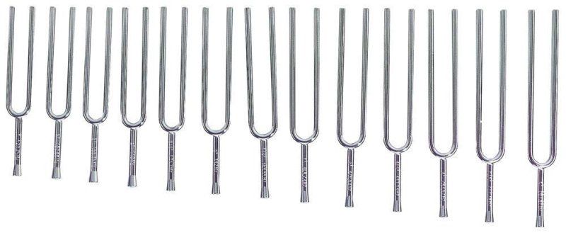 13 tuning forks set | 229483