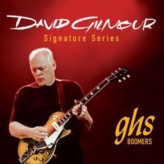 David Gilmour Signature, Blue Strings, 010-048 | 312925