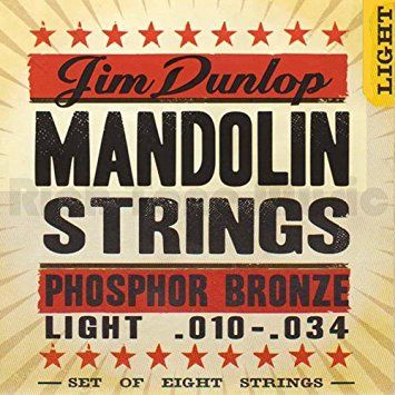 Phosphor Bronze Light Mandolin String Set of 8, .010-.034 | 315356