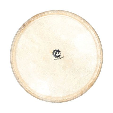 14&quot; Replacement Head For Galaxy Djembe | 541263