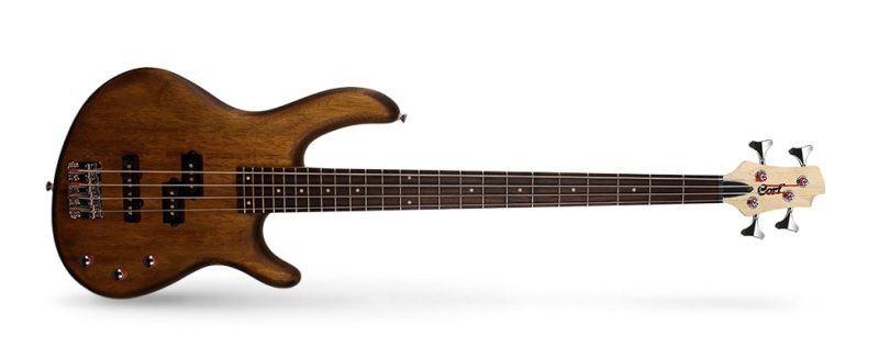 Action PJ Series Electric Bass, Open Pore Walnut | 478156