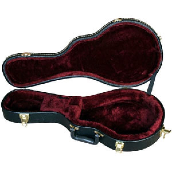 Mandolin Case | 211641