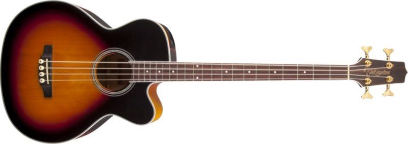 G Series Acoustic Electric Bass Guitar, Black Sunburst | 433397