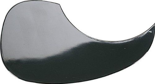Guard Plate, Black | 425701