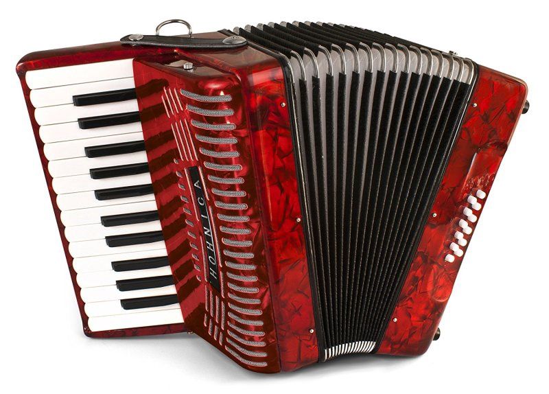 12 Bass 37-Key Entry Level Piano Accordion With Gig Bag And Strap | 425063