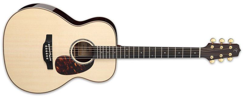 Acoustic Electric Guitar | 483001