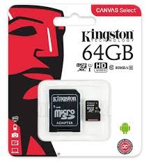 Kingston SD Card (64GB)